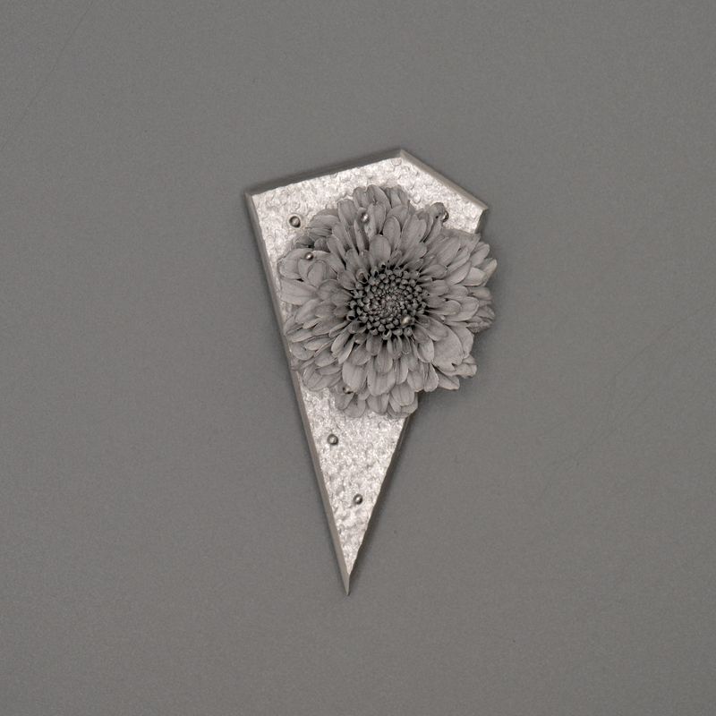 Pieces of nature