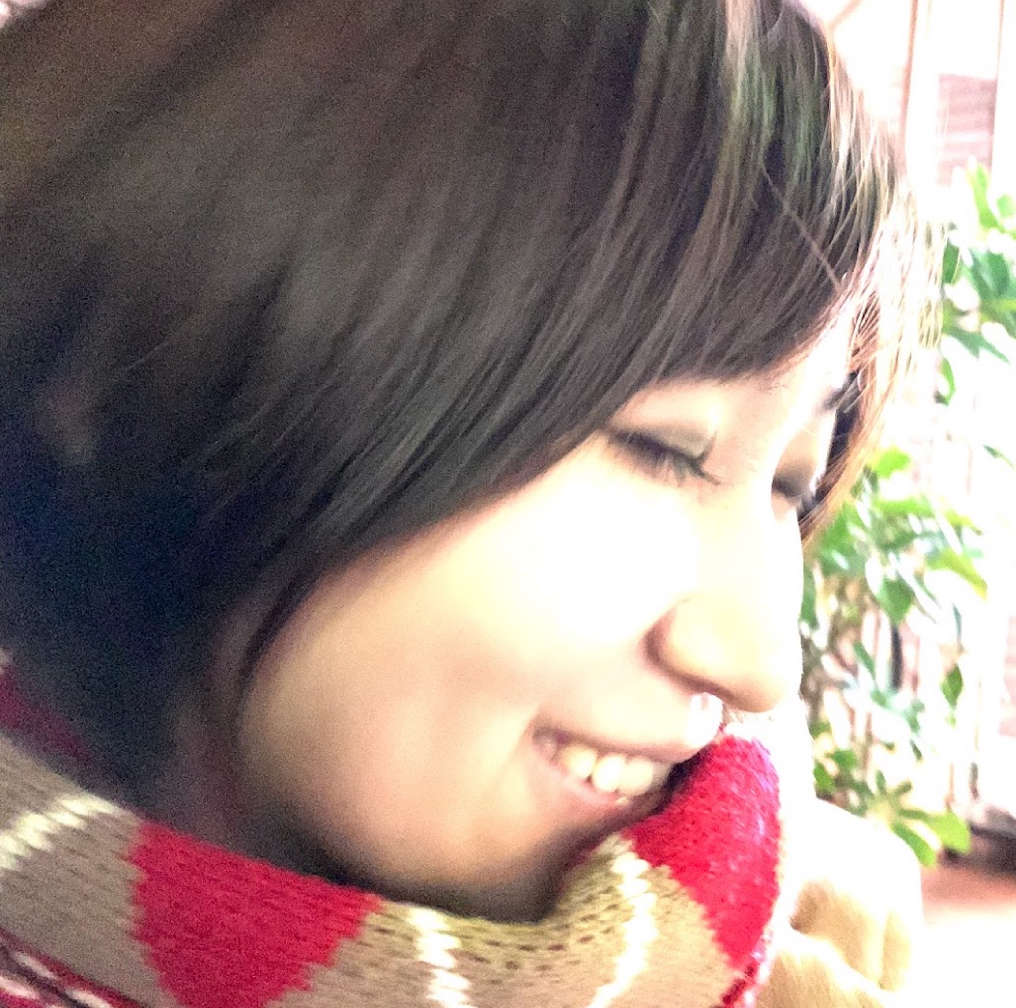岩本紀羽